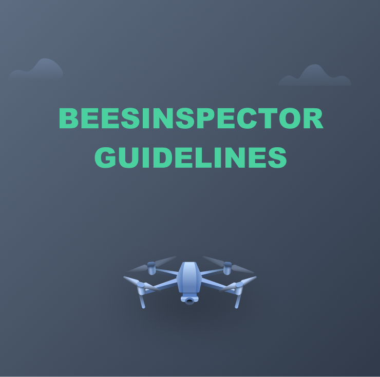 BeesInspector Guidelines